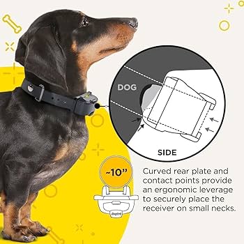 ドッグトラ Dogtra IQ ヤード トレーニング カーラー 小型犬用 Dogtra iQ MINI Small Dog Training Collar | Gun Dog Supply
